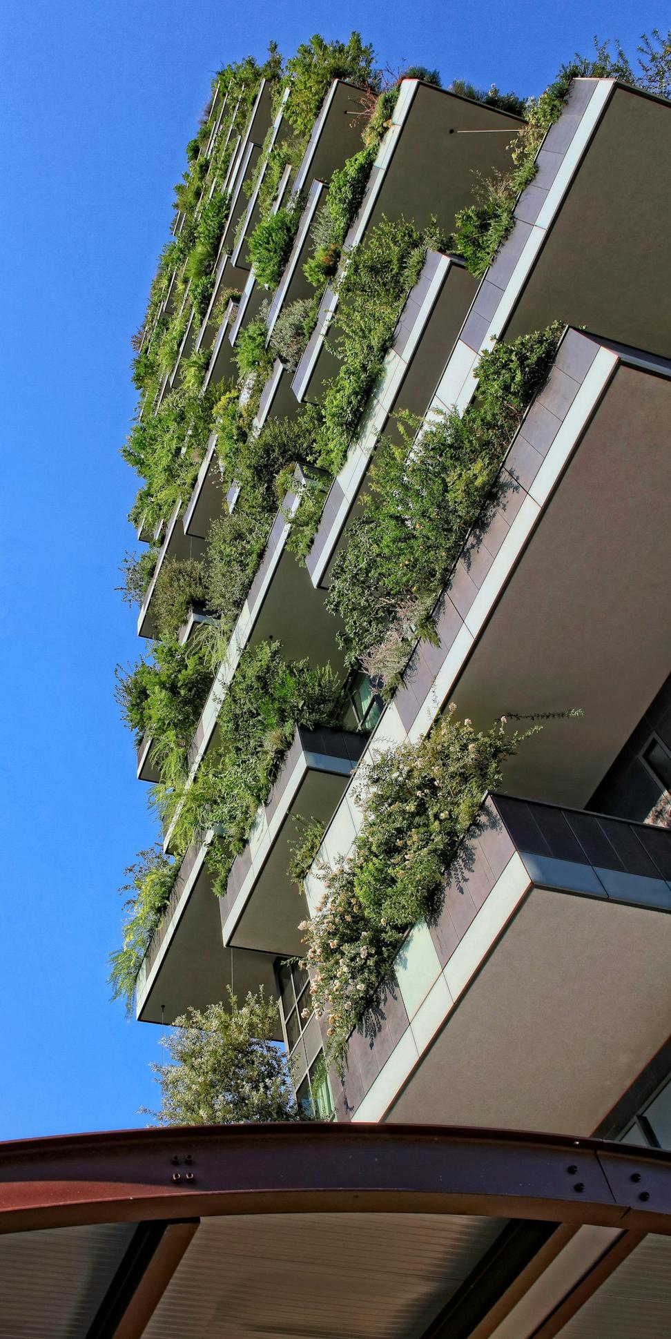 Green roof
