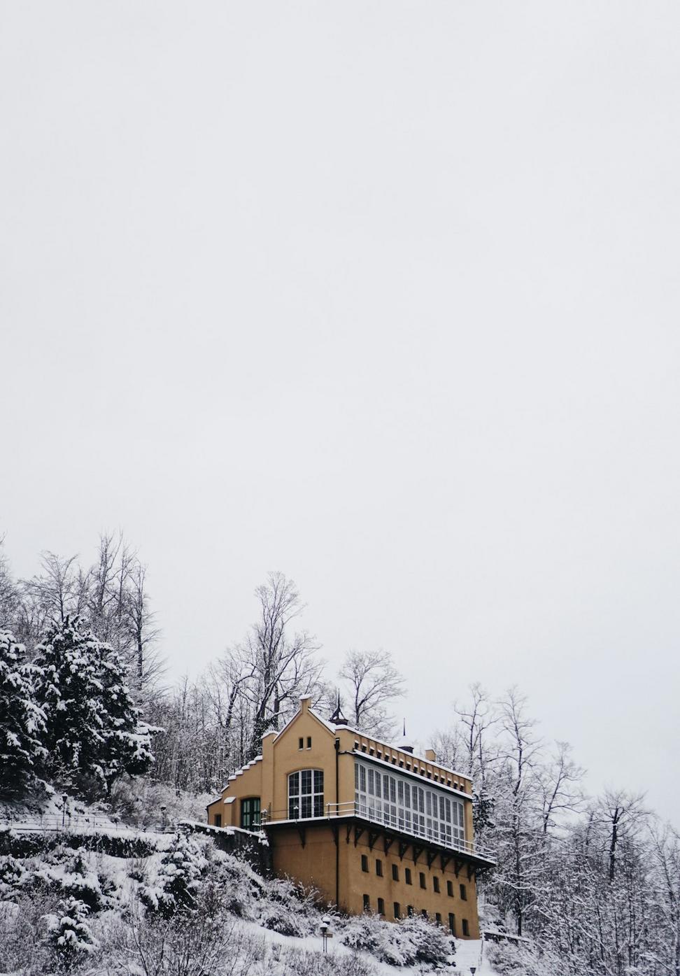 Winter House